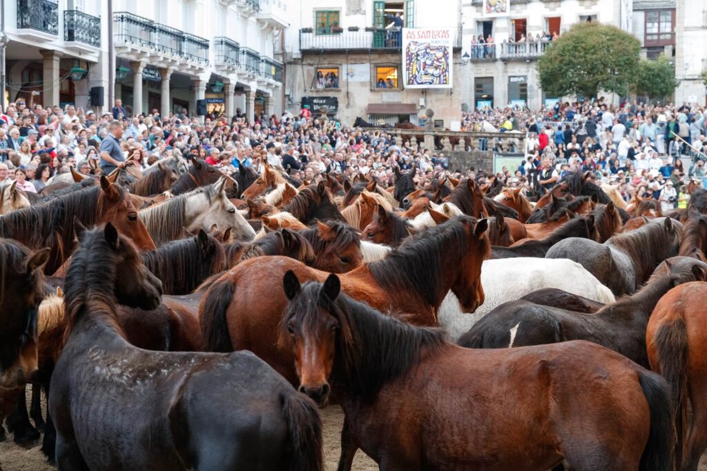 Cientos de personas de todas las edades observan con expectación el espectáculo ecuestre